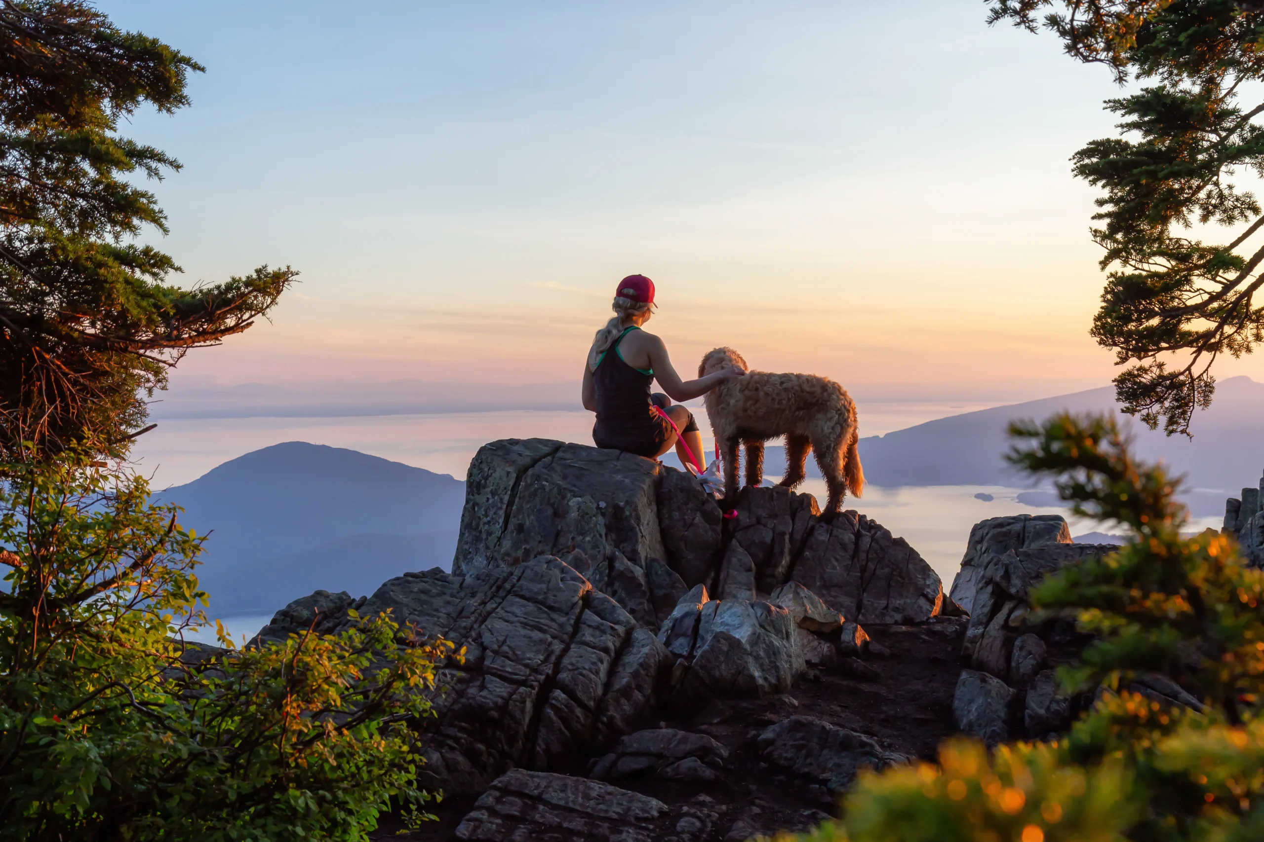 woman enjoying the view of a valley with her dog, free of pain after her hip replacement 