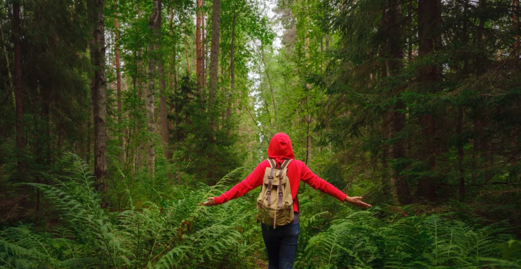 person hiking through a forest with no joint pain after their knee replacement and a physical therapy plan