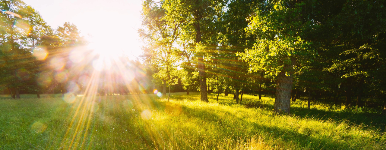 How to Keep Cool: A Comprehensive Guide for Summer Health and Safety